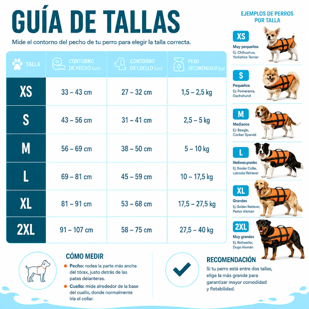 Chaleco flotante Canino